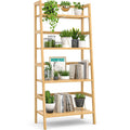 Bamboo Ladder Shelf, 4-Tier Small Bookshelf Plant Shelf Indoor